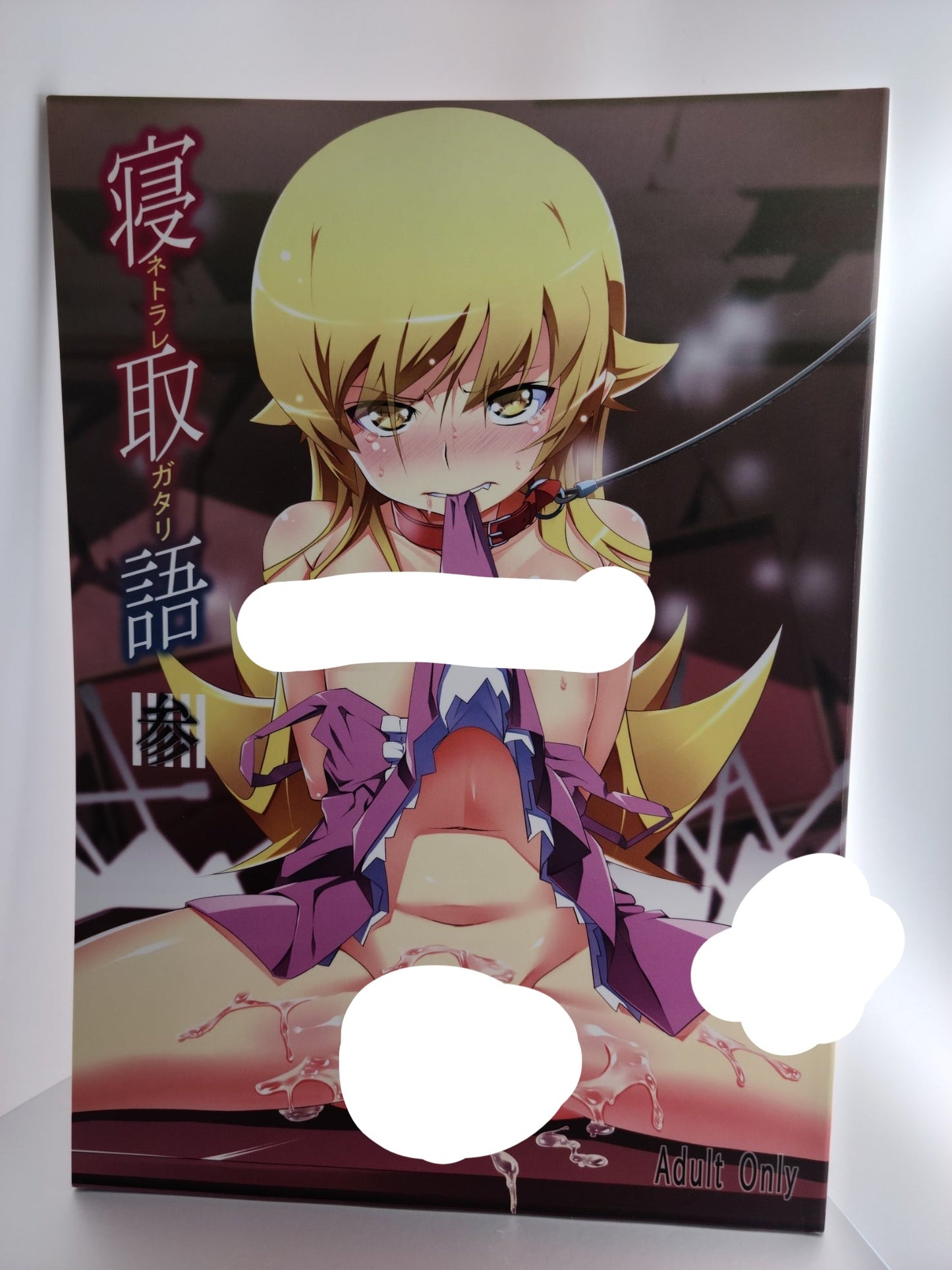 Bakemonogatari Doujinshi [Tanabe Kyou] Netoraregatari San