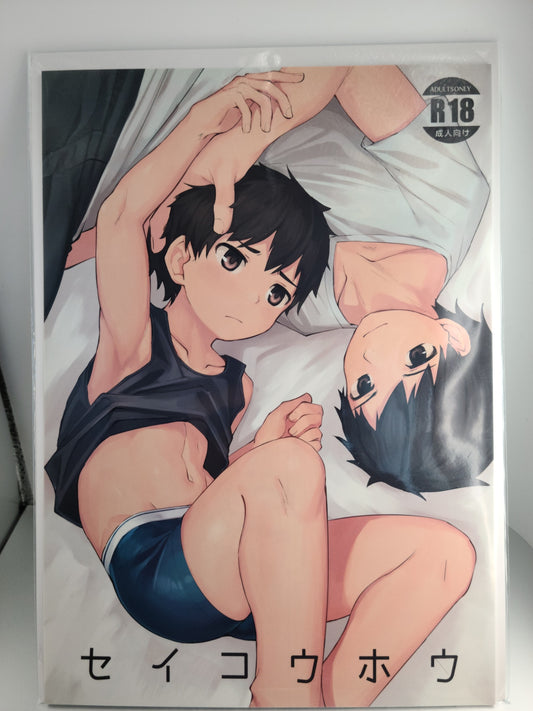 Yaoi Doujinshi (Nayoshi) Seikouhou