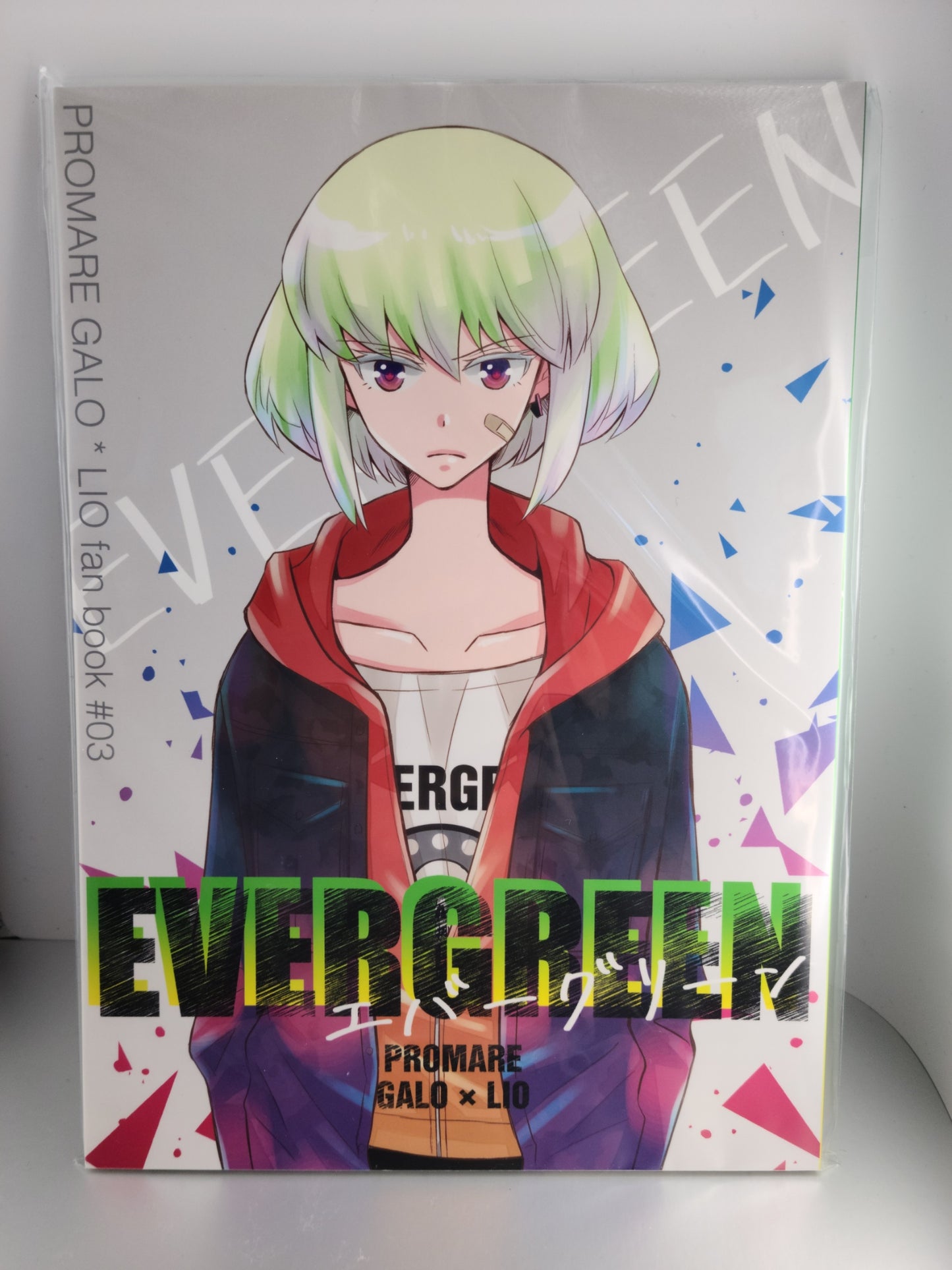 Yaoi Promare SFW Doujinshi (Sasshi) EVERGREEN