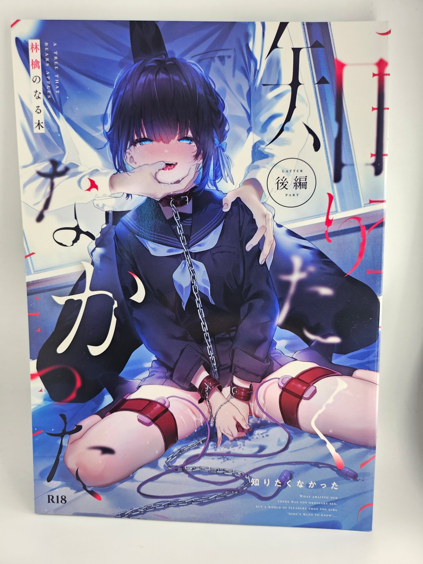 Doujinshi (Kise Itsuki) Shiritakunakatta Kouhen